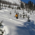 Glade Skiing