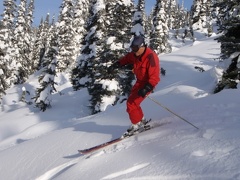 Tree Skiing