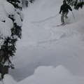 Tree Skiing