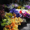 Ozzy Flower Shop