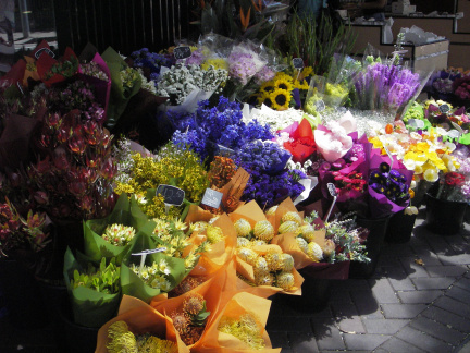 Ozzy Flower Shop