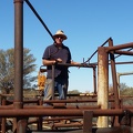 automatic-cattle-pens 41407339304 o
