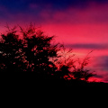 sunset-cabaas-vertientes-malacahuello-chile_29381772144_o.jpg