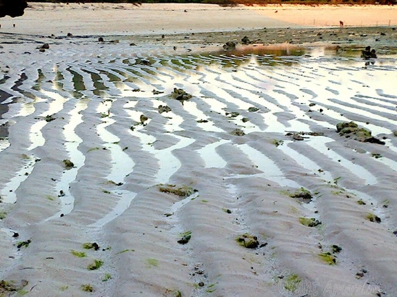 sand-waves-at-low-tide