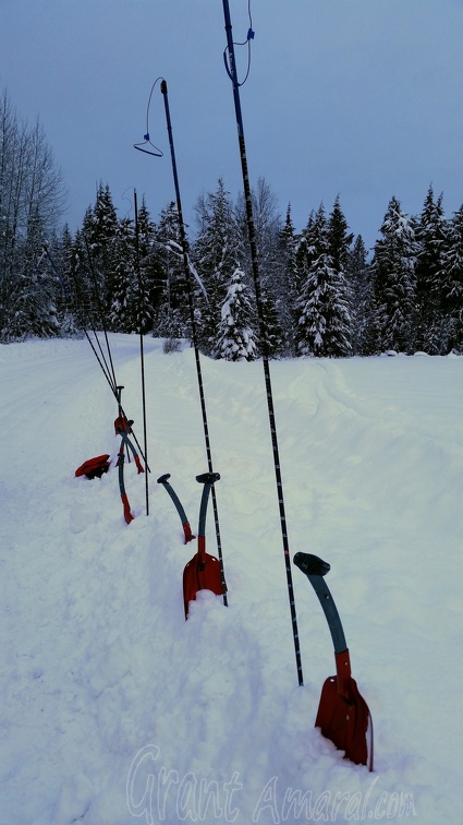 avalanche probes
