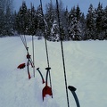 avalanche probes